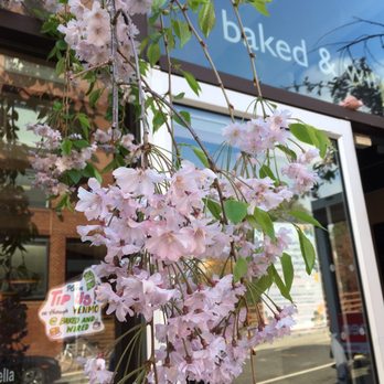 Baked & Wired - Two people allowed in at a time - Bakeries Near Me - Washington, DC, District of Columbia Baked & Wired - Two people allowed in at a time - Bakeries Near Me - Washington, DC, District of Columbia