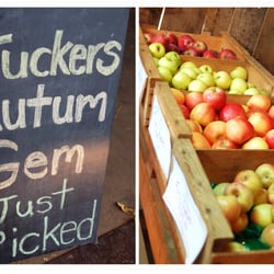 Noble Orchard