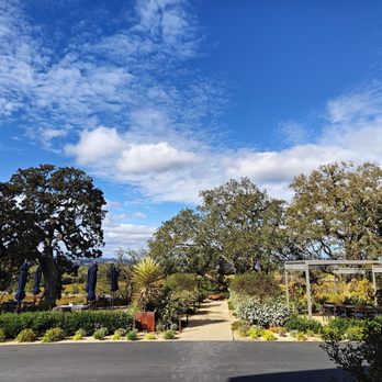 Copain Wines - Scenic views from the tasting tables - Wineries Near Me - Healdsburg, California