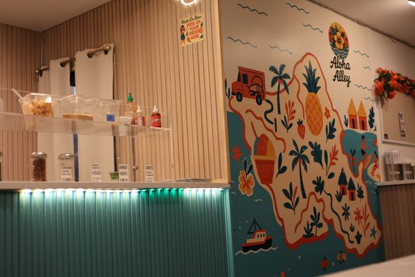 Aloha Alley by null