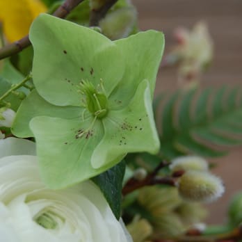 The Monkey Flower Group - Event Planning & Services Near Me The Monkey Flower Group - Event Planning & Services Near Me