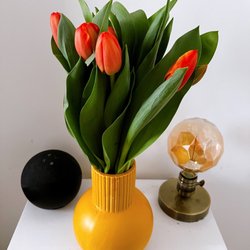 Le Jardin de Mathilde - Beautiful tulips