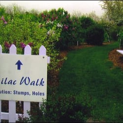 Entrance to the Lilac Walk at Lilac Hill Nursery
