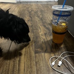 Palmer flavor my dog loves the tea too Palmer flavor my dog loves the tea too