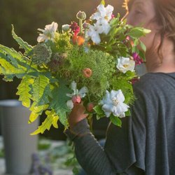 Rolling Hills Herbs & Heirloom Annuals - Certified organic locally grown blooms