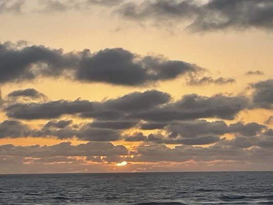 Hallmark Resort Newport by null