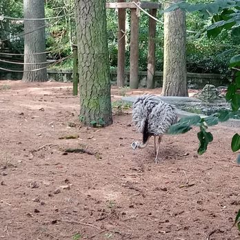 Salisbury Zoological Park - Zoos Near Me - Salisbury, Maryland