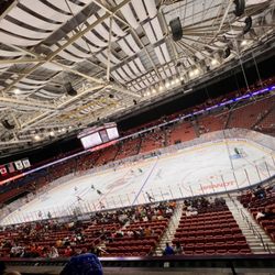 Bon Secours Wellness Arena - Florida Everblades vs Swamp Rabbits