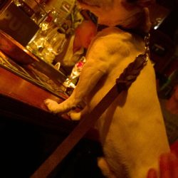 Vinyl Grove - Deputy Charlie in our fave Bar.