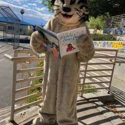 Don Benito Fundamental School - Read Across America week with our Bobcat.