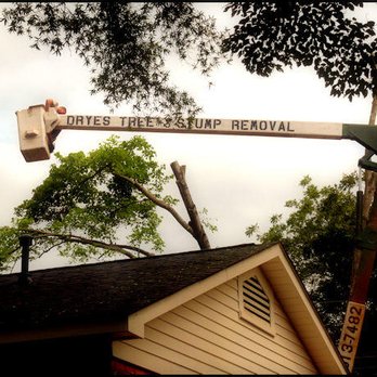 Drye's Tree & Stump - Tree Services Near Me - Alexis, North Carolina Drye's Tree & Stump - Tree Services Near Me - Alexis, North Carolina