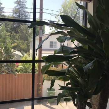 Brain Balance Studio - Naturopathic/Holistic Near Me - Studio City, California Brain Balance Studio - Naturopathic/Holistic Near Me - Studio City, California