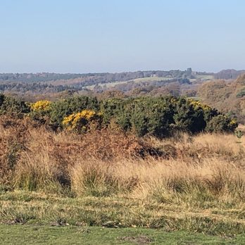 Ashdown Forest - Changing of colors - Parks Near Me - Wych Cross, ESX