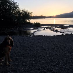 Willaby Campground - Sunset