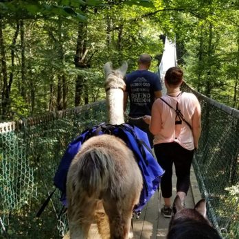 Smoky Mountain Llama Treks - Suspension bridge - Hiking Near Me - Cosby, Tennessee Smoky Mountain Llama Treks - Suspension bridge - Hiking Near Me - Cosby, Tennessee