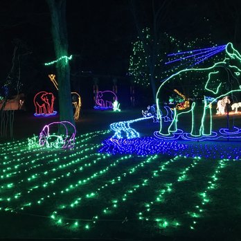 Denver Zoo Lights - Festivals Near Me - Denver, Colorado