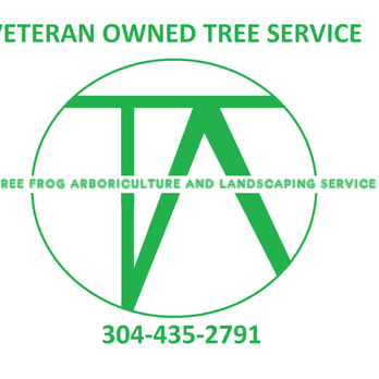 Tree Frog Arboriculture - Tree Services Near Me Tree Frog Arboriculture - Tree Services Near Me