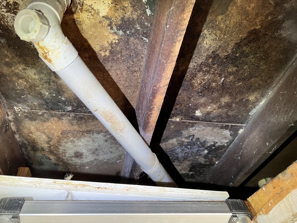 IRONSIDE BUILDING, PEST & POOL INSPECTIONS 17 Photos 8/45 Cordelia St, South Brisbane