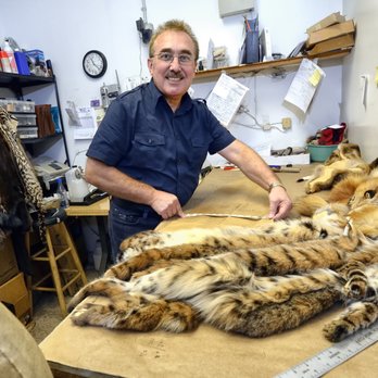Anthony Fur Studio - Fur Clothing Near Me - Niles, Illinois