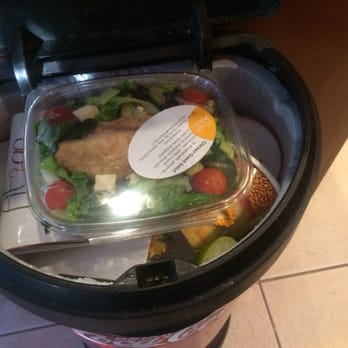 Fit2Go - Rotten lettuce - Food Delivery Services Near Me - Miami, Florida Fit2Go - Rotten lettuce - Food Delivery Services Near Me - Miami, Florida
