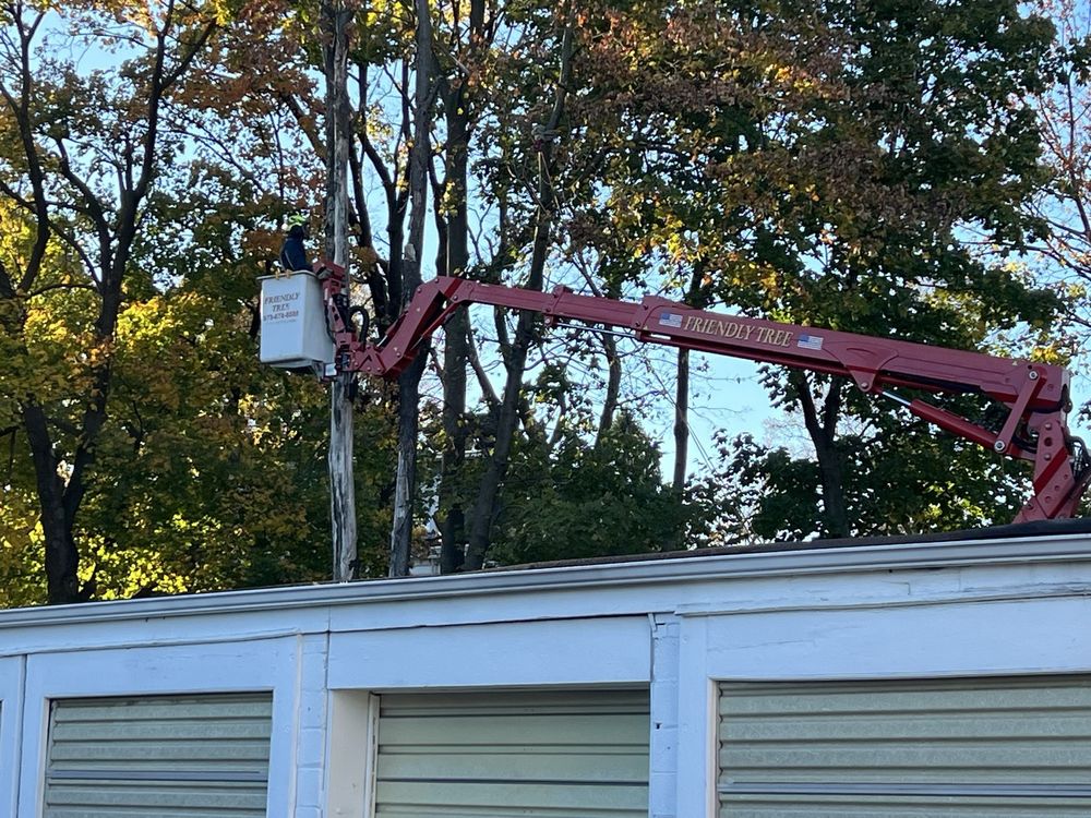 Friendly Tree Service - tree service in Orange, NJ