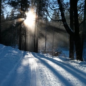 Sun Mountain Lodge - One of many trails for cross country skiing!!! - Resorts Near Me - Winthrop, Washington