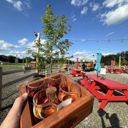 Rebel Sheep Wine Co.