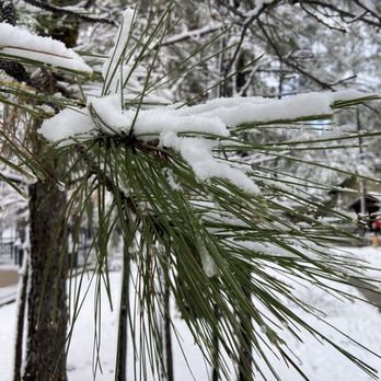 WorldMark Pinetop - Fresh snow - Resorts Near Me - Pinetop, Arizona WorldMark Pinetop - Fresh snow - Resorts Near Me - Pinetop, Arizona