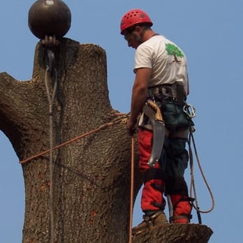 Ballard Enterprises - Tree Services Near Me Ballard Enterprises - Tree Services Near Me