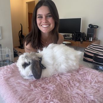 Lux Bunny Grooming - Pet Groomers Near Me Lux Bunny Grooming - Pet Groomers Near Me