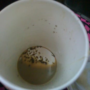 Moon Bean Coffee Company - Way too much powder - Coffee & Tea Near Me - Toronto, Ontario