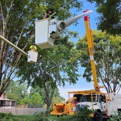 Canopy Tree Service