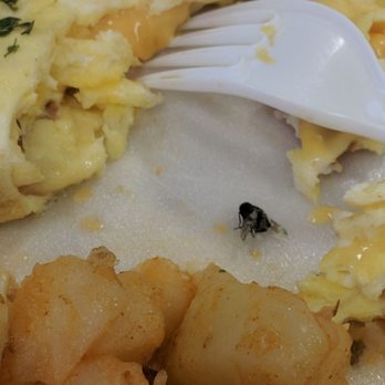 Eggsperience Vasilis - This was my breakfast this morning. All they did was take my number. The owners are off until Tuesday. No refund no manager on site. - Creperies Near Me - Buffalo, New York