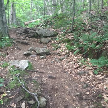 Bald Mountain/artists Bluff - Hiking Near Me - Franconia, New Hampshire