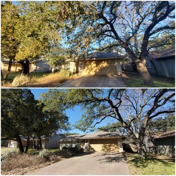 Beny's Tree Service - Tree Services Near Me - Austin, Texas Beny's Tree Service - Tree Services Near Me - Austin, Texas