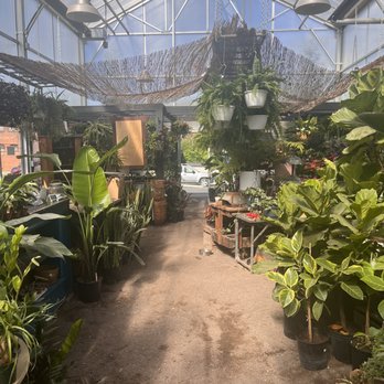 Maypop Coffee & Garden Shop - Coffee & Tea Near Me - Webster Groves, Missouri