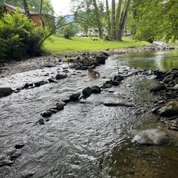 Mountain Riders - Perfect area for kids to play in river