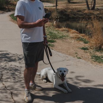 K9 Revolution - Pet Training Near Me - Denver, Colorado K9 Revolution - Pet Training Near Me - Denver, Colorado