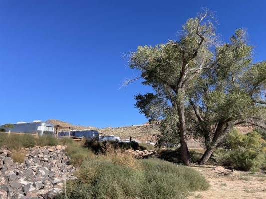 AutoCamp Zion by null