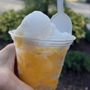 Photo of Slipp’s Ice