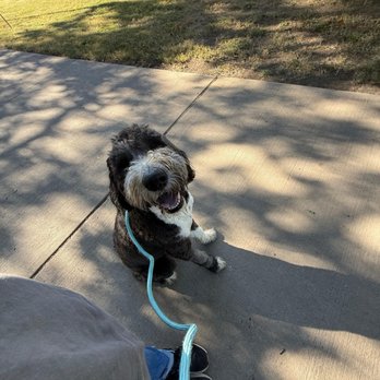Whistler Ranch Bed And Biscuit - Pet Boarding Near Me - Blue Ridge, Texas