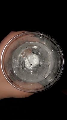 Northeast Palace Bar & Grill by null