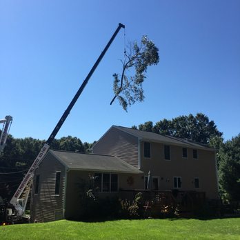 Mike's Professional Tree Service - Tree Services Near Me - Coventry, Rhode Island
