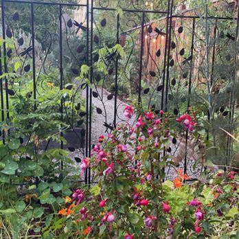Chez TJ - Garden - French Near Me - Mountain View, California