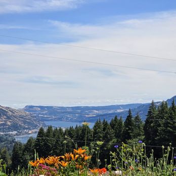 Loop De Loop Winery - Wine Tasting Room Near Me - Underwood, Washington Loop De Loop Winery - Wine Tasting Room Near Me - Underwood, Washington