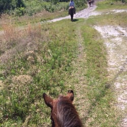 Horseback Trail Rides - Riding along the trail.