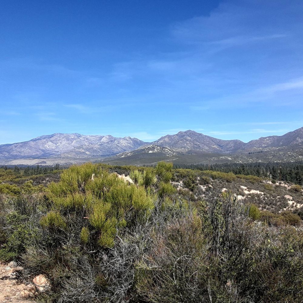 The Pacific Crest Trail - Parks Near Me - Anza, California The Pacific Crest Trail - Parks Near Me - Anza, California