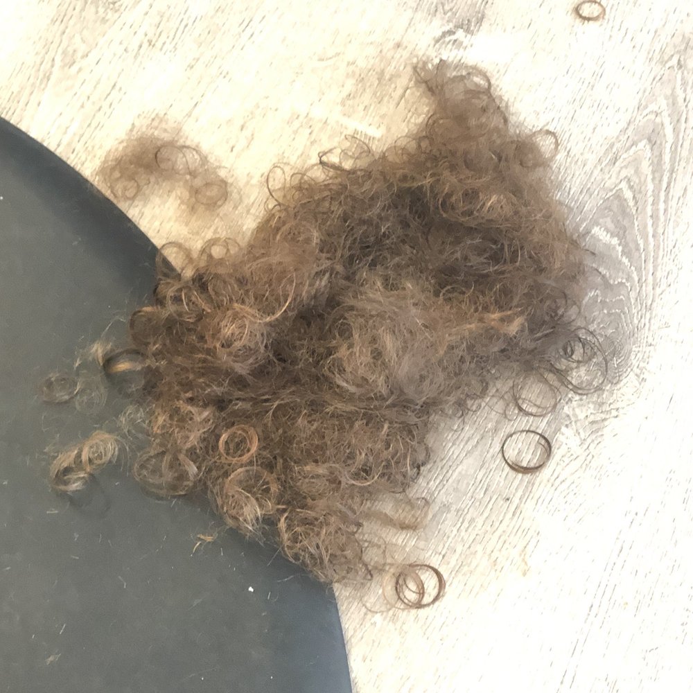 Salon Evolution - Who cuts out this much hair without warning someone - Hair Salons Near Me - Sagamore Beach, Massachusetts Salon Evolution - Who cuts out this much hair without warning someone - Hair Salons Near Me - Sagamore Beach, Massachusetts
