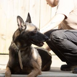 Custom Canine Unlimited - Our Kennel is headed by a trained Kennel Master and staffed by fully trained technicians.