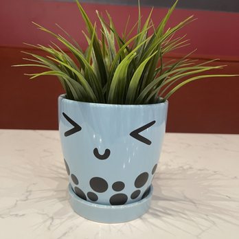 Gong Cha - Such cute decor. - Bubble Tea Near Me - San Antonio, Texas Gong Cha - Such cute decor. - Bubble Tea Near Me - San Antonio, Texas